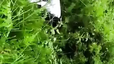 Catches a college couple fucking in an Indian outdoor sex